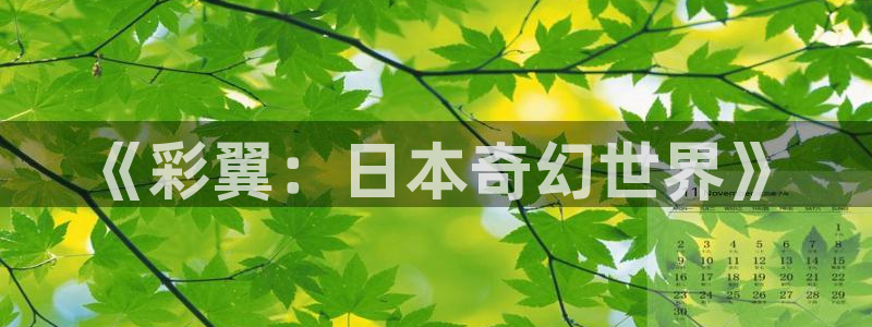高等灵魂奇漫屋：《彩翼：日本奇幻世界》